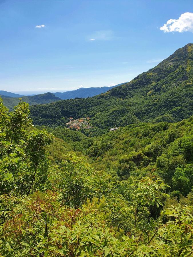 Il Bosco Di Campo Marzano Rooms & Apartments Borzonasca Kültér fotó