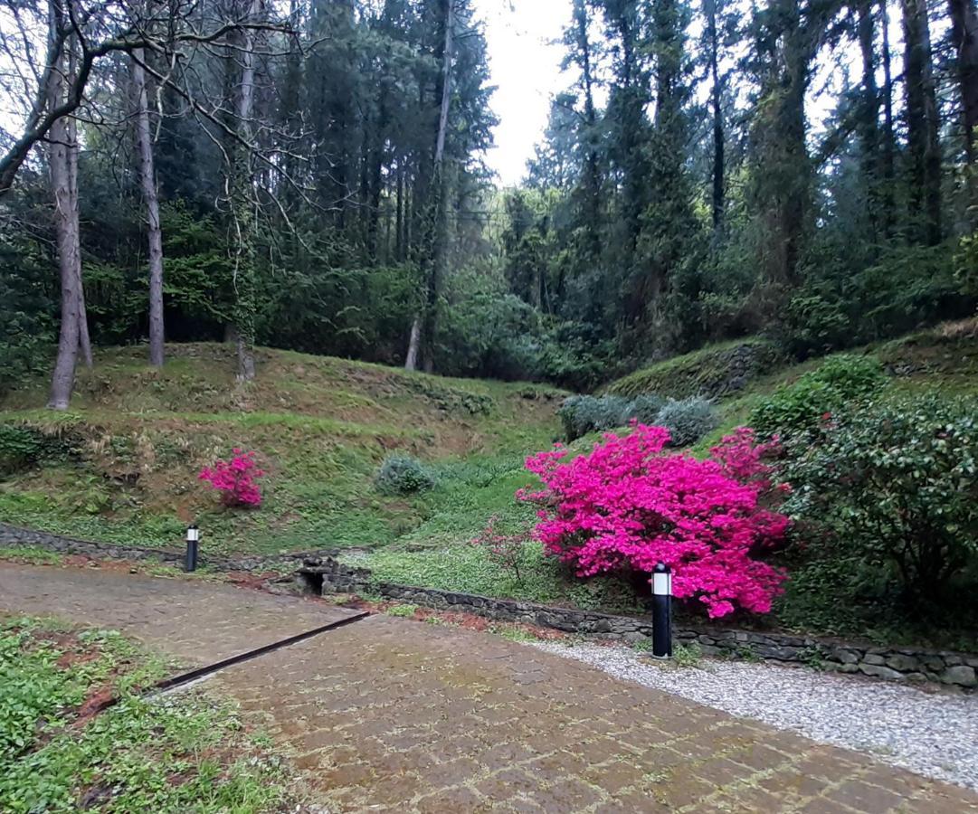 Il Bosco Di Campo Marzano Rooms & Apartments Borzonasca Kültér fotó