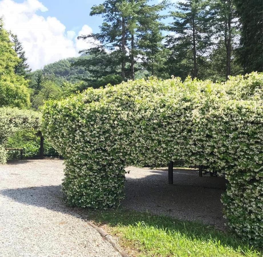 Il Bosco Di Campo Marzano Rooms & Apartments Borzonasca Kültér fotó