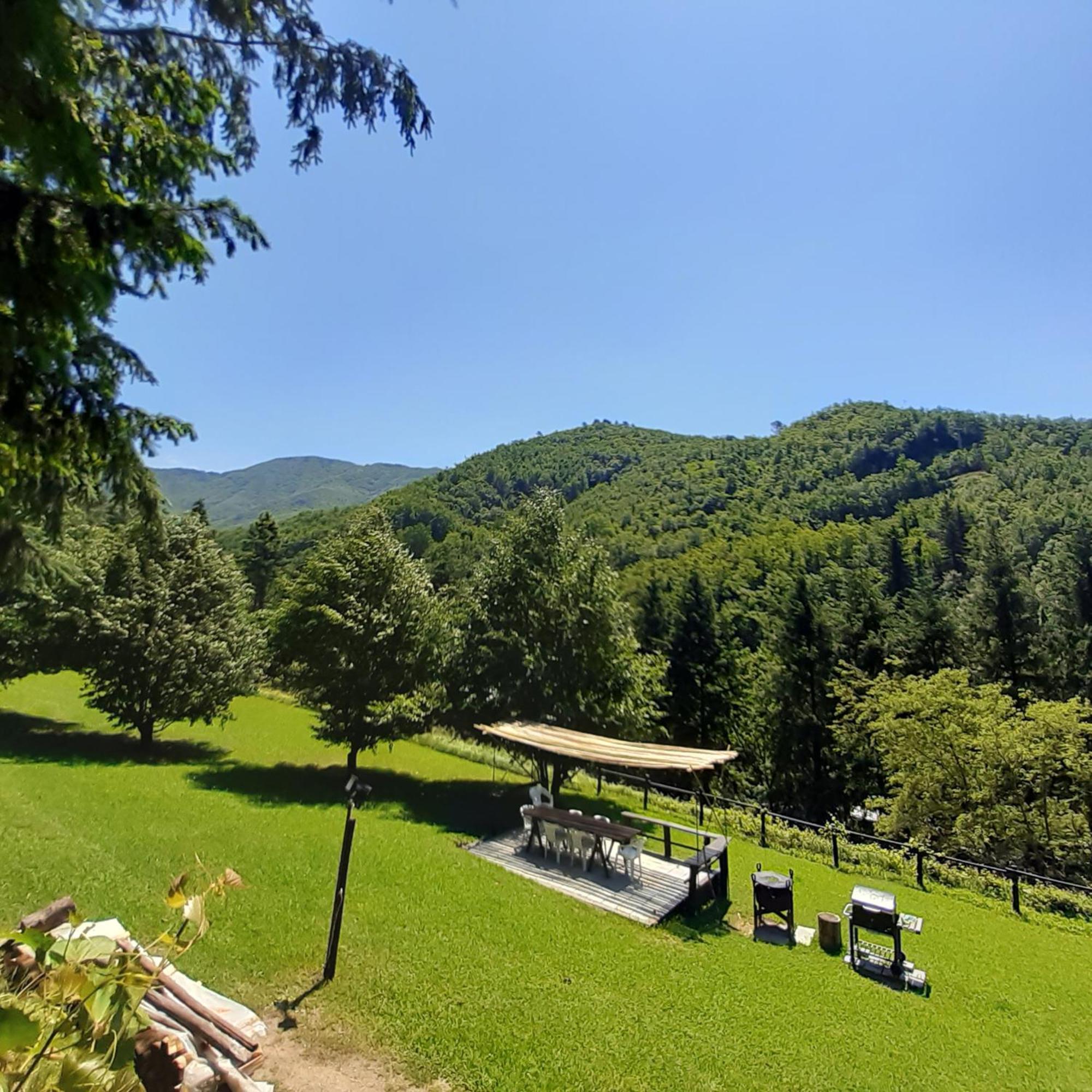 Il Bosco Di Campo Marzano Rooms & Apartments Borzonasca Kültér fotó