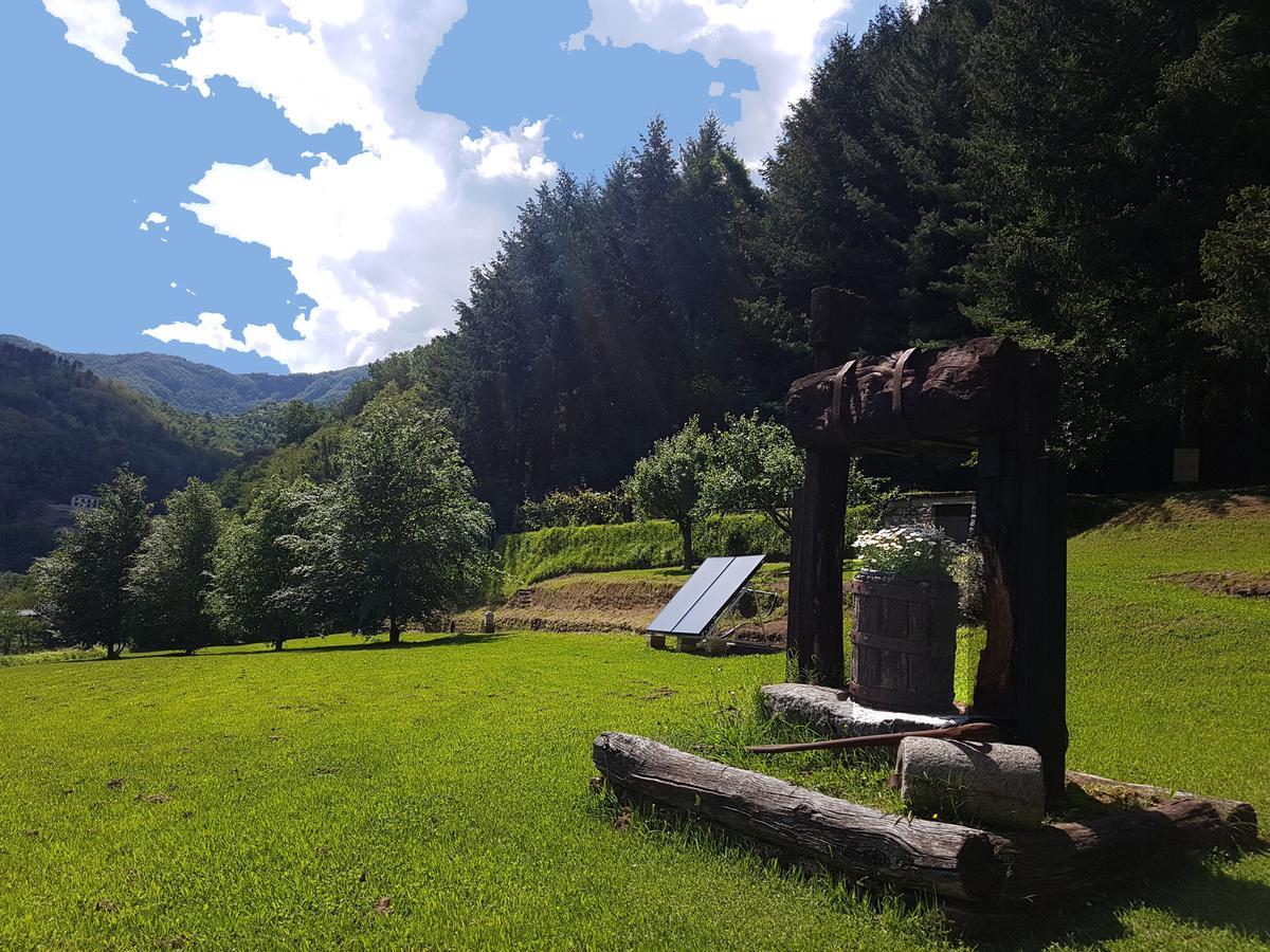 Il Bosco Di Campo Marzano Rooms & Apartments Borzonasca Kültér fotó